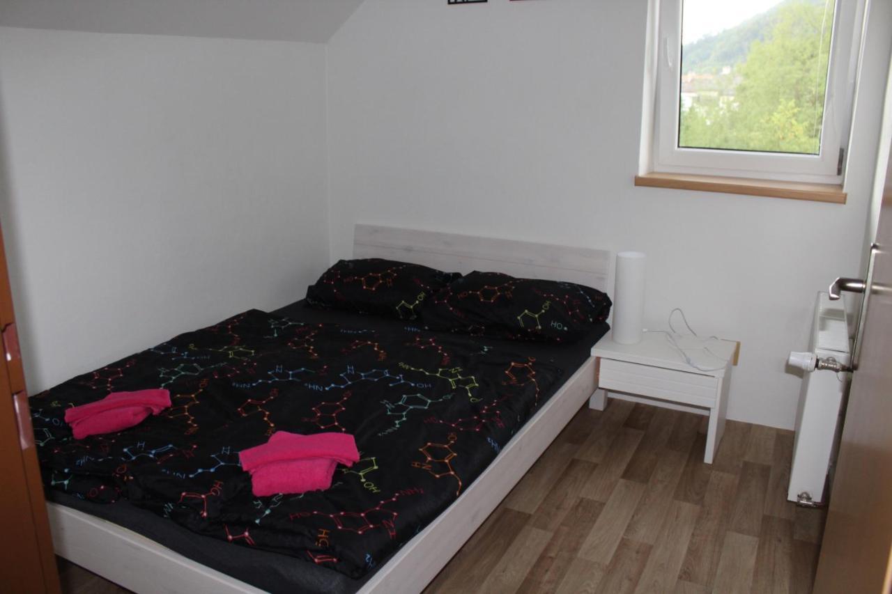 Apartman Rapotin, Jesenicka 296, 3Km Od Termalniho Parku Velke Losiny Bagian luar foto